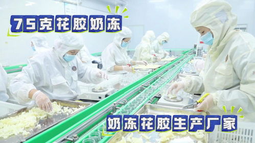 品鉴75克重的即食花胶奶冻oem代加工生产工厂车间实拍